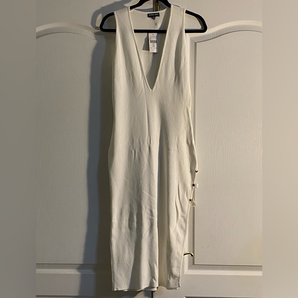Fashion Nova Dress